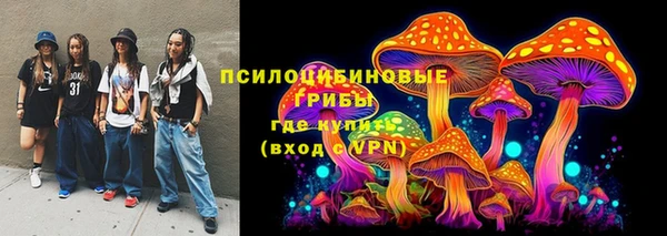 эйфоретик Каменногорск