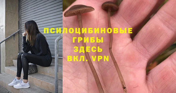 эйфоретик Каменногорск