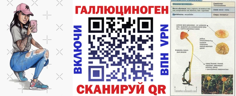 Псилоцибиновые грибы Cubensis Ермолино